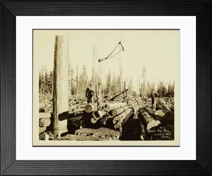 Framed Print : Logging / Timber Scene, about 1910-1945. Creator: Darius Kinsey Framed Print : Logging / Timber Scene, about 1910-1945. Creator: Darius Kinsey