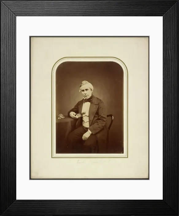 Framed Print : Lovell Reeve, F.L.S. 1854-1865. Creator: Maull & Polyblank Framed Print : Lovell Reeve, F.L.S. 1854-1865. Creator: Maull & Polyblank