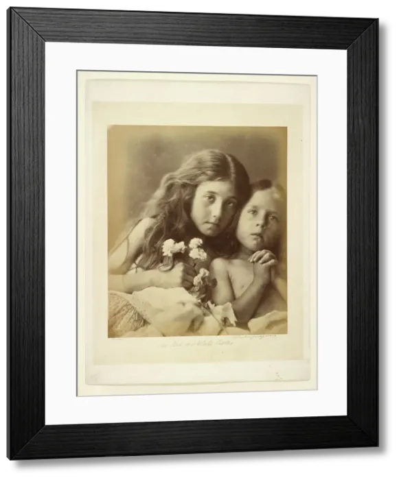 Framed Print : The Red and White Roses, 1865. Creator: Julia Margaret Cameron Framed Print : The Red and White Roses, 1865. Creator: Julia Margaret Cameron
