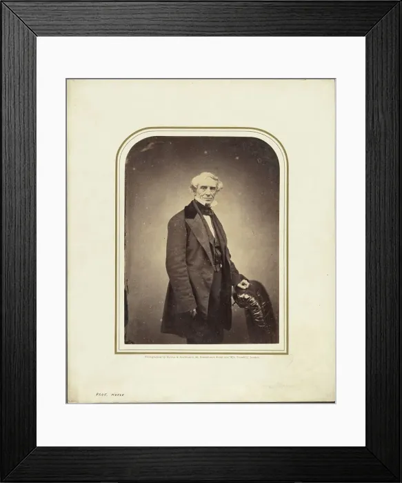 Framed Print : Professor Samuel Morse, 1855-1860. Creator: Maull & Polyblank Framed Print : Professor Samuel Morse, 1855-1860. Creator: Maull & Polyblank