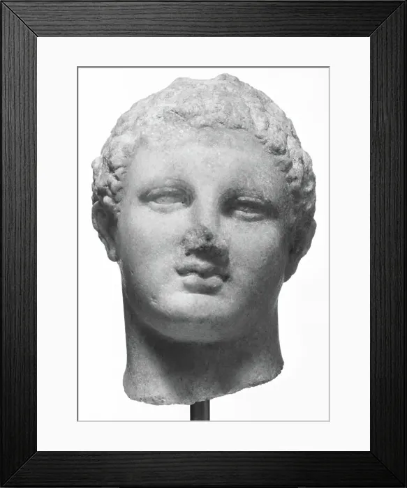 Framed Print : Head of a Statuette of Demetrios Poliorketes, 3rd century BC. Creator: Unknown Framed Print : Head of a Statuette of Demetrios Poliorketes, 3rd century BC. Creator: Unknown