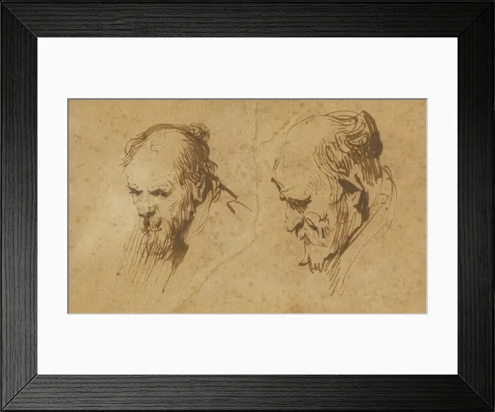 Framed Print : Two Studies of the Head of an Old Man, 1626. Creator: Rembrandt Harmensz van Rijn Framed Print : Two Studies of the Head of an Old Man, 1626. Creator: Rembrandt Harmensz van Rijn