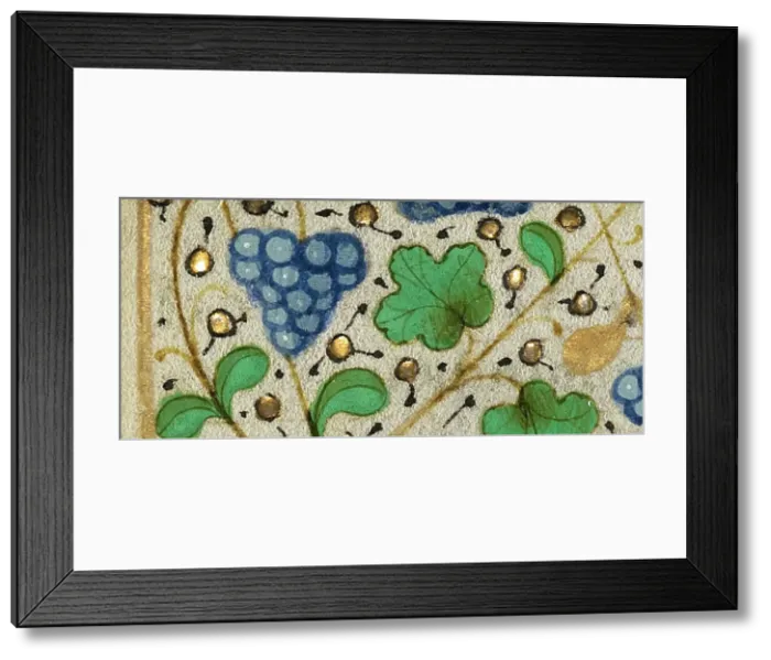Framed Print : Decorated Border with Grapes; Boethius, Consolation de philosophie, about 1460-1470. Creator: Unknown Framed Print : Decorated Border with Grapes; Boethius, Consolation de philosophie, about 1460-1470. Creator: Unknown