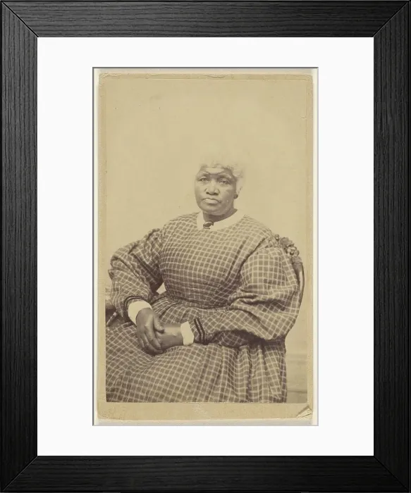 Framed Print : Portrait of a Seated Woman, 1865-1870. Creator: HJ Reed Framed Print : Portrait of a Seated Woman, 1865-1870. Creator: HJ Reed