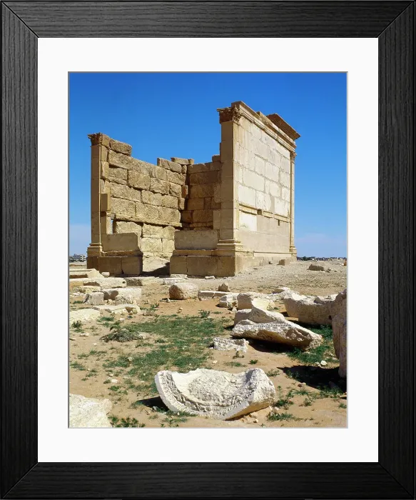 Framed Print : Remains of one of the temples - Oasis of Tadmor, Palmyra, Syria, 2001. Creator: LTL