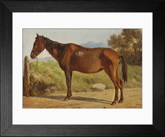Framed Print : Rosinante (Study of an old standing horse), c1847. Creator: Wilhelm Marstrand Framed Print : Rosinante (Study of an old standing horse), c1847. Creator: Wilhelm Marstrand
