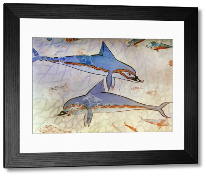 Framed Print : Dolphin fresco, detail, Queen's Megaron, Palace of Knossos, Minoan, Crete, Greece, Bronze Age (2000) Creator: Unknown