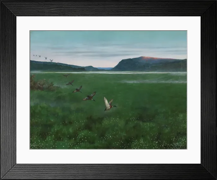 Framed Print : The twelve Wild Ducks, 1897. Creator: Theodor Kittelsen Framed Print : The twelve Wild Ducks, 1897. Creator: Theodor Kittelsen