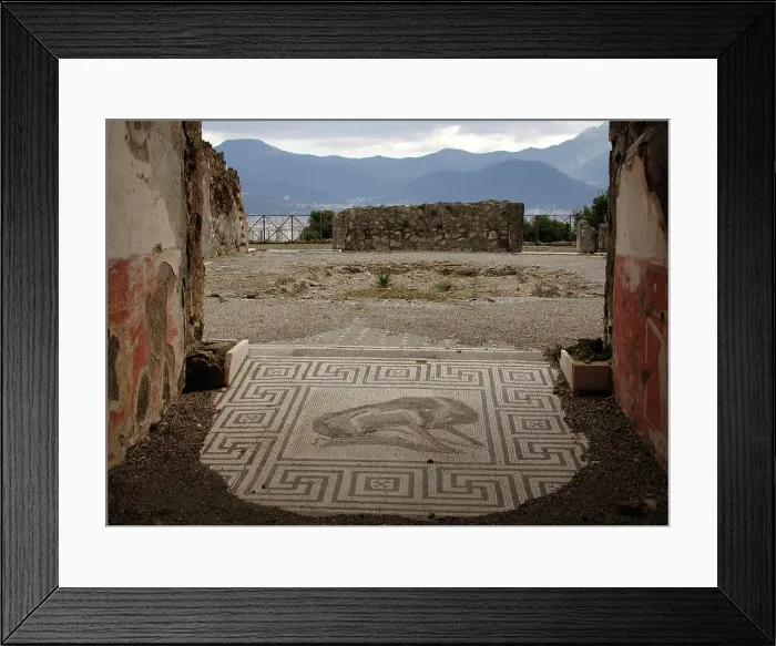 Framed Print : Mosaic, Pompeii, Italy, 2009. Creator: LTL Framed Print : Mosaic, Pompeii, Italy, 2009. Creator: LTL