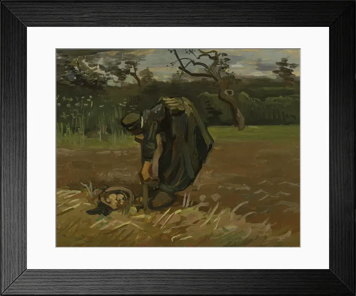 Framed Print : Peasant Woman Digging Potatoes, 1885. Creator: Vincent van Gogh Framed Print : Peasant Woman Digging Potatoes, 1885. Creator: Vincent van Gogh