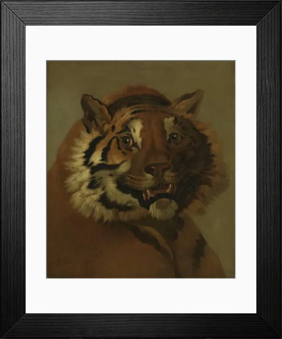 Framed Print : Head of a Tiger, Undated. Creator: Johann Heinrich Wilhelm Tischbein Framed Print : Head of a Tiger, Undated. Creator: Johann Heinrich Wilhelm Tischbein