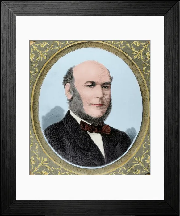 Framed Print : Jules Grevy (1807-1891), President of the French Third Republic, 1879. Creator: Unknown Framed Print : Jules Grevy (1807-1891), President of the French Third Republic, 1879. Creator: Unknown