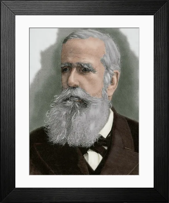 Framed Print : Pedro II of Brazil (1825-1891), the Magnanimous, 19th century. Creator: Unknown Framed Print : Pedro II of Brazil (1825-1891), the Magnanimous, 19th century. Creator: Unknown
