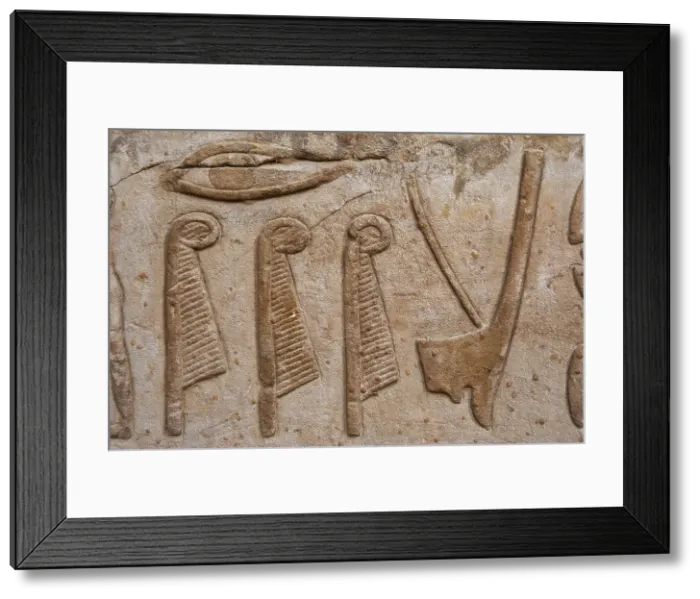 Framed Print : Reliefs depicting hieroglyphic signs, ostrich feathers and crown of...Temple of Edfu, Egypt...(2003) Creator: LTL Framed Print : Reliefs depicting hieroglyphic signs, ostrich feathers and crown of...Temple of Edfu, Egypt...(2003) Creator: LTL