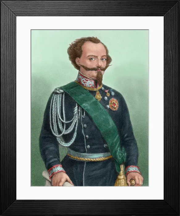 Framed Print : Victor Emmanuel II (1820-1878), King of Sardinia (1849-1861) and king of Italy (1861-1878), 1881. Creator: Unknown