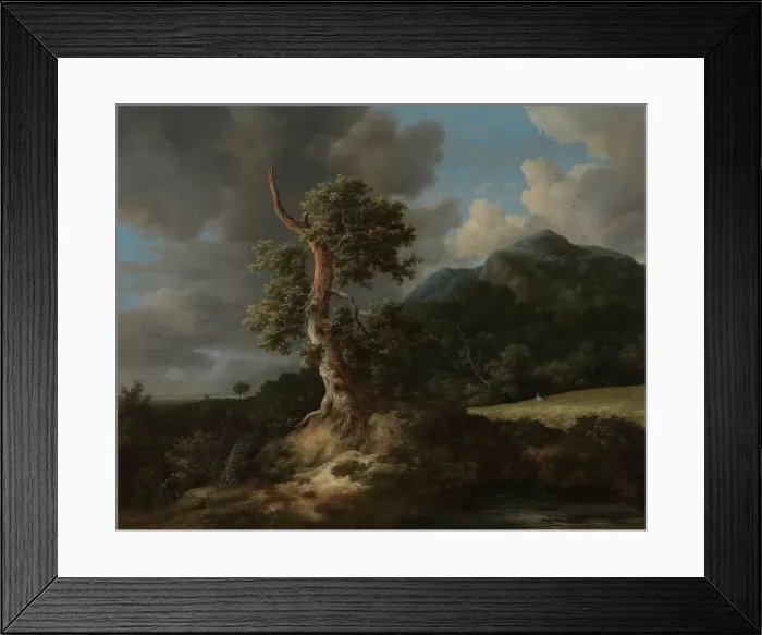 Framed Print : Mountainous Landscape with a Blasted Oak Tree, The 1660s. Creator: Jacob van Ruisdael