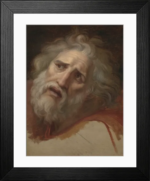 Framed Print : Head of Laocoon, about 1790. Creator: Andrea Appiani Framed Print : Head of Laocoon, about 1790. Creator: Andrea Appiani