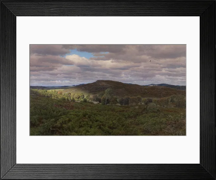 Framed Print : Heath landscape from Halland Cloudy September day, 1883. Creator: Niels Skovgaard Framed Print : Heath landscape from Halland Cloudy September day, 1883. Creator: Niels Skovgaard