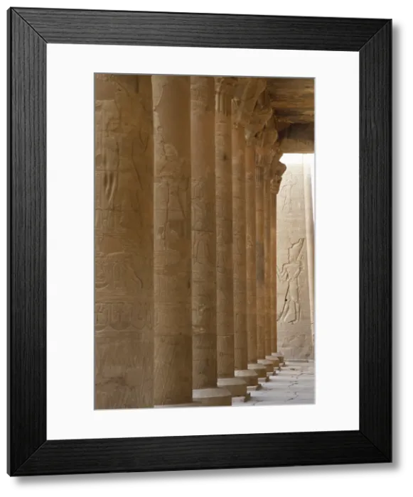 Framed Print : Colonnade of the first courtyard, Temple of Edfu, Egypt, Ptolemaic period, 237-57 BC (2003). Creator: LTL Framed Print : Colonnade of the first courtyard, Temple of Edfu, Egypt, Ptolemaic period, 237-57 BC (2003). Creator: LTL
