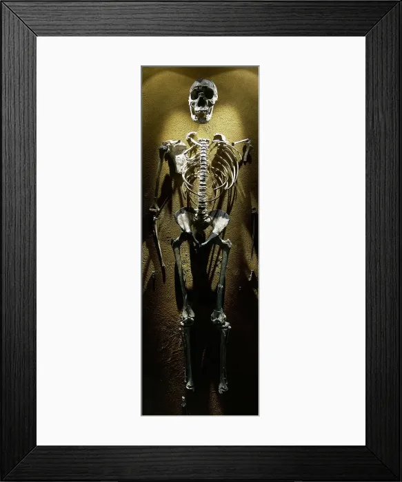 Framed Print : Turkana Boy, Homo erectus, Fossil KNM-WT 15000, 1.5 -1.6 millions years old, Kenya, Africa, 2001. Creator: LTL Framed Print : Turkana Boy, Homo erectus, Fossil KNM-WT 15000, 1.5 -1.6 millions years old, Kenya, Africa, 2001. Creator: LTL
