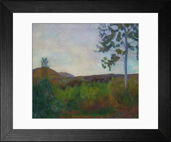 Framed Print : From Gausdal, 1910. Creator: Thorvald Erichsen Framed Print : From Gausdal, 1910. Creator: Thorvald Erichsen