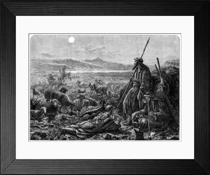 Framed Print : Shepherds watching their flocks by night, drawn by W. J. Webb, 1872. Creator: William Hollidge Framed Print : Shepherds watching their flocks by night, drawn by W. J. Webb, 1872. Creator: William Hollidge
