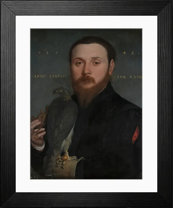 Framed Print : Portrait of a Nobleman with a hawk. Creator: Hans Holbein the Younger Framed Print : Portrait of a Nobleman with a hawk. Creator: Hans Holbein the Younger