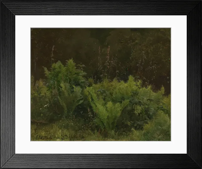 Framed Print : Study of Ferns, 1846. Creator: Hans Gude Framed Print : Study of Ferns, 1846. Creator: Hans Gude