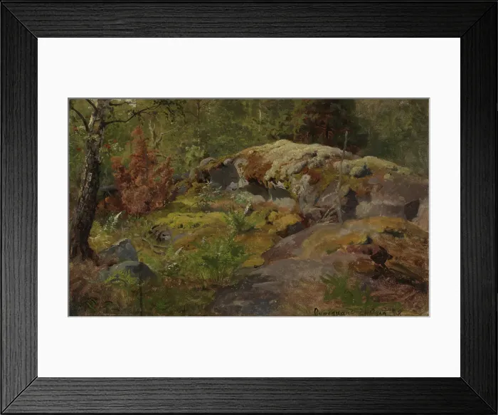 Framed Print : Forest Floor, 1858. Creator: Hans Gude Framed Print : Forest Floor, 1858. Creator: Hans Gude