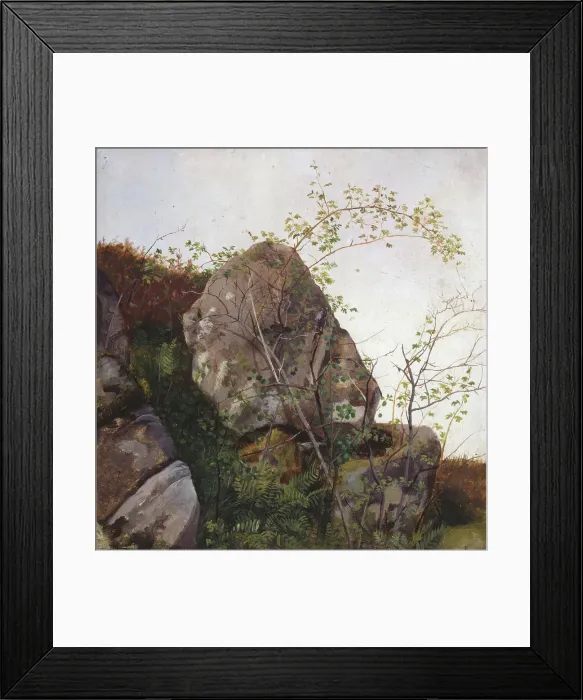 Framed Print : Study of Dog Roses and Ferns, 1834. Creator: Adolph Tidemand Framed Print : Study of Dog Roses and Ferns, 1834. Creator: Adolph Tidemand