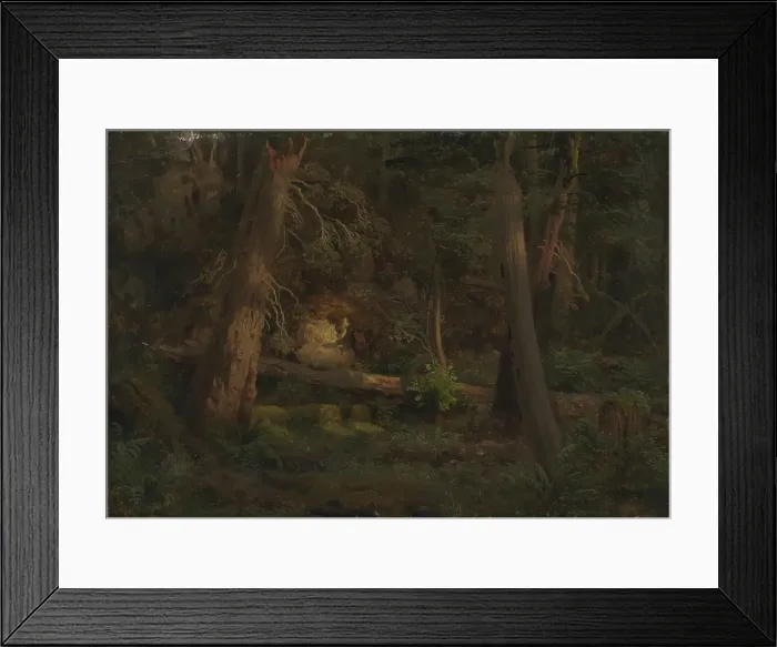 Framed Print : Forest Study, probably 1851. Creator: Herman August Cappelen Framed Print : Forest Study, probably 1851. Creator: Herman August Cappelen