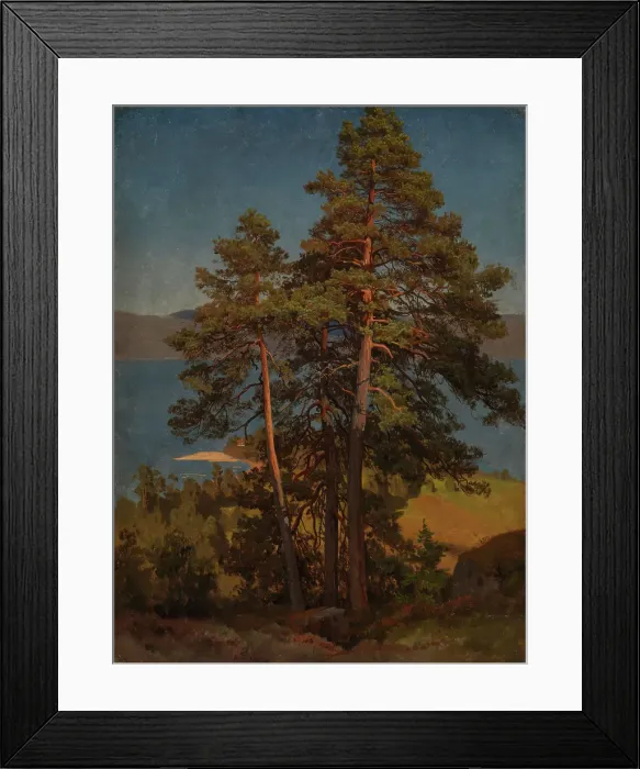 Framed Print : Pinetrees, probably 1850. Creator: Herman August Cappelen Framed Print : Pinetrees, probably 1850. Creator: Herman August Cappelen