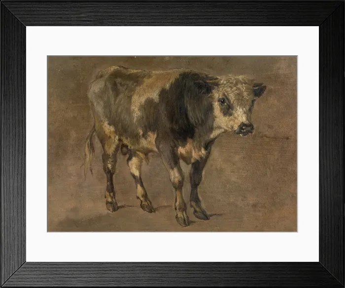 Framed Print : Bull, c1870s. Creator: Andre Plumot Framed Print : Bull, c1870s. Creator: Andre Plumot