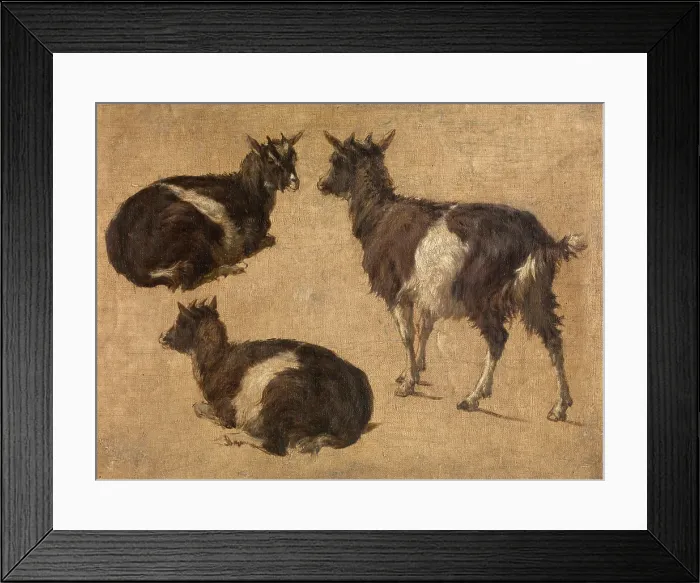 Framed Print : Goats, c1870s. Creator: Andre Plumot Framed Print : Goats, c1870s. Creator: Andre Plumot