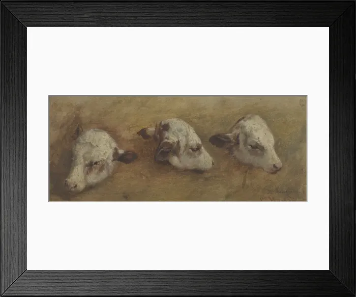 Framed Print : Study of Calfheads, 1858. Creator: Anders Monsen Askevold Framed Print : Study of Calfheads, 1858. Creator: Anders Monsen Askevold