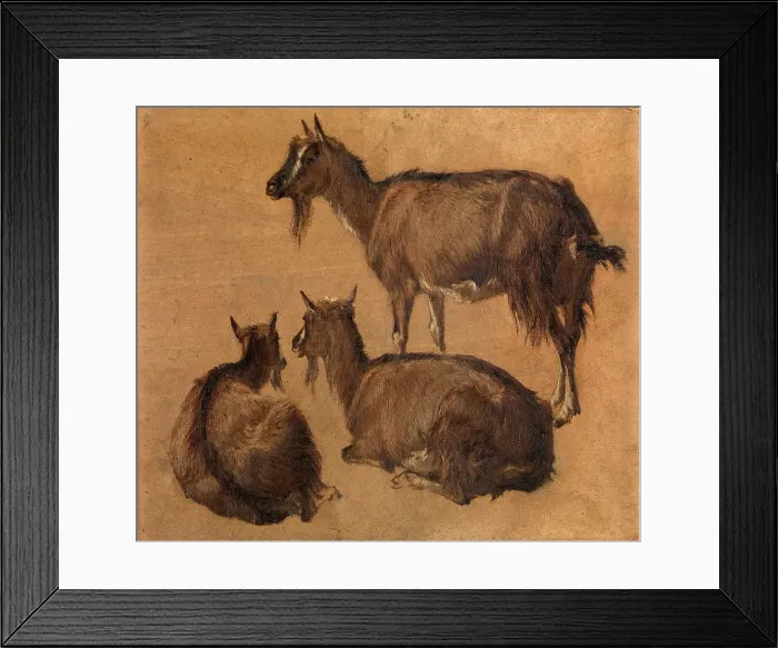 Framed Print : Goats, c1870s. Creator: Andre Plumot Framed Print : Goats, c1870s. Creator: Andre Plumot