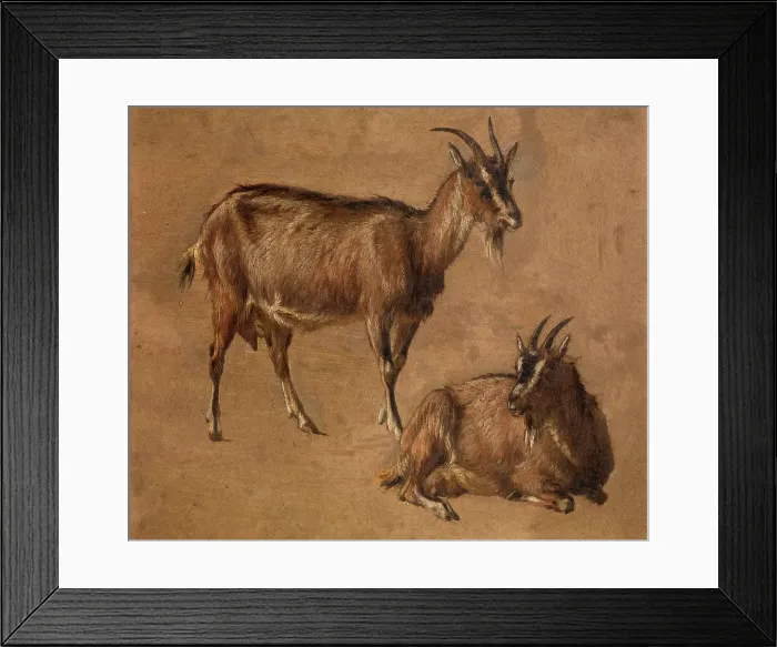 Framed Print : Goats, c1870s. Creator: Andre Plumot Framed Print : Goats, c1870s. Creator: Andre Plumot