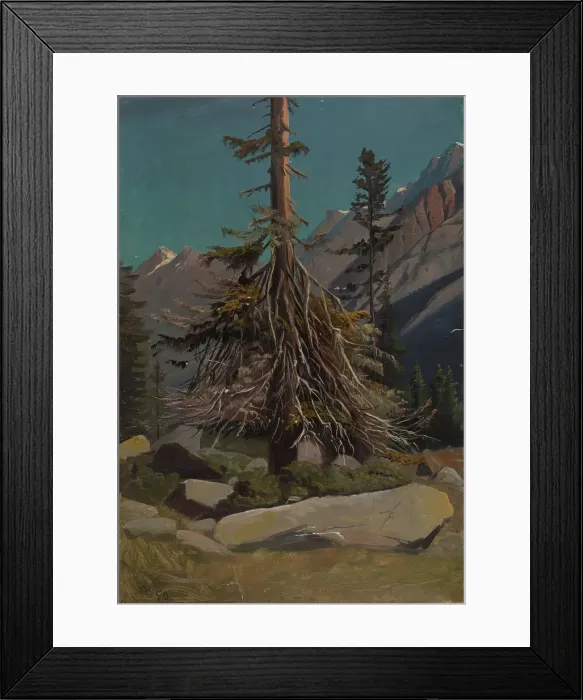 Framed Print : Study of Trees in the Alps, 1850. Creator: Knud Baade Framed Print : Study of Trees in the Alps, 1850. Creator: Knud Baade