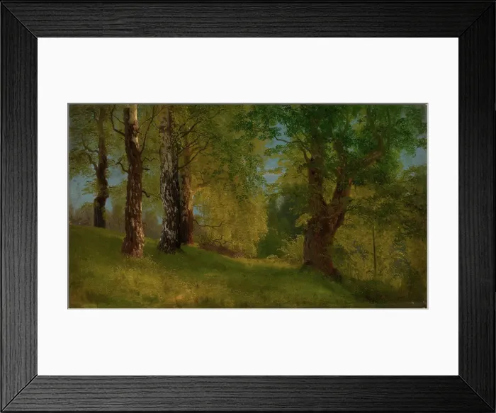 Framed Print : Study of a Wood, probably 1848. Creator: Herman August Cappelen Framed Print : Study of a Wood, probably 1848. Creator: Herman August Cappelen