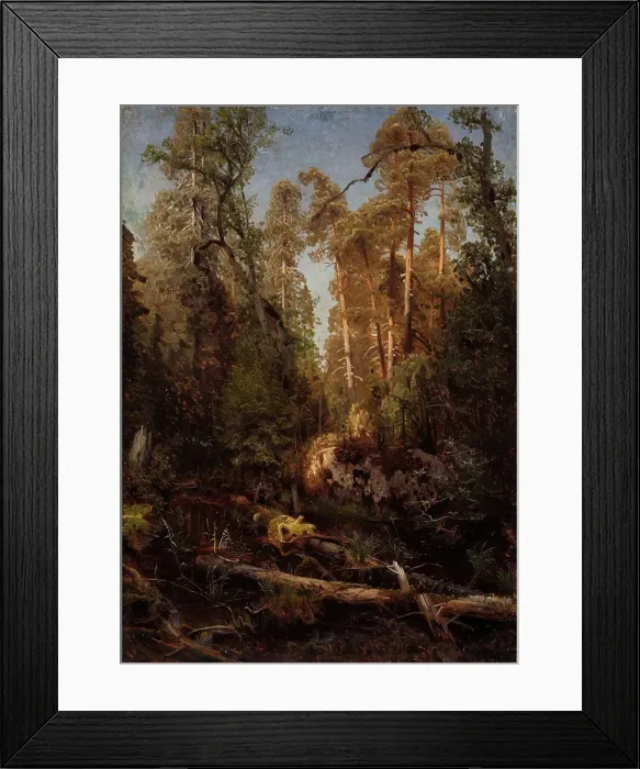 Framed Print : Forest Study, probably 1851. Creator: Herman August Cappelen Framed Print : Forest Study, probably 1851. Creator: Herman August Cappelen