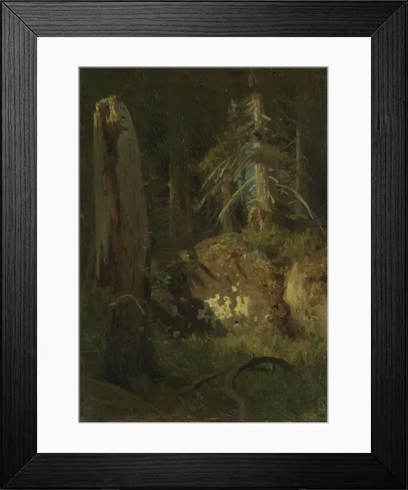 Framed Print : Landscape Study with Decaying Trees, probably 1851. Creator: Herman August Cappelen Framed Print : Landscape Study with Decaying Trees, probably 1851. Creator: Herman August Cappelen