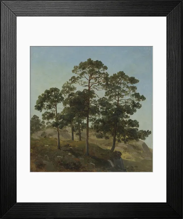 Framed Print : Study of Trees, 1843. Creator: Joachim Frich Framed Print : Study of Trees, 1843. Creator: Joachim Frich