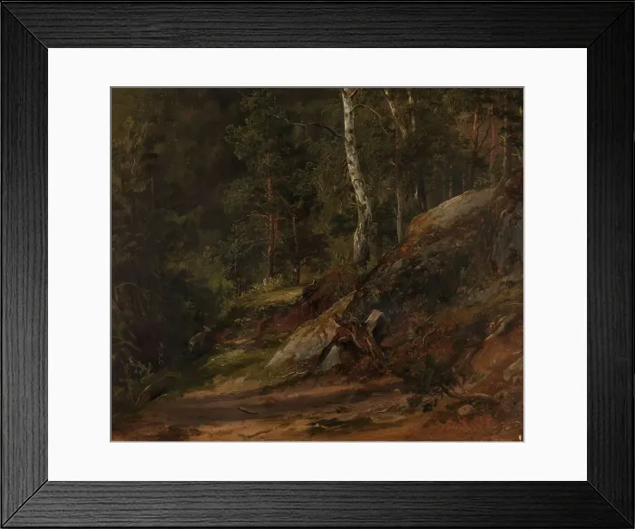 Framed Print : Forest Study from Romsdal, 1836. Creator: Thomas Fearnley Framed Print : Forest Study from Romsdal, 1836. Creator: Thomas Fearnley