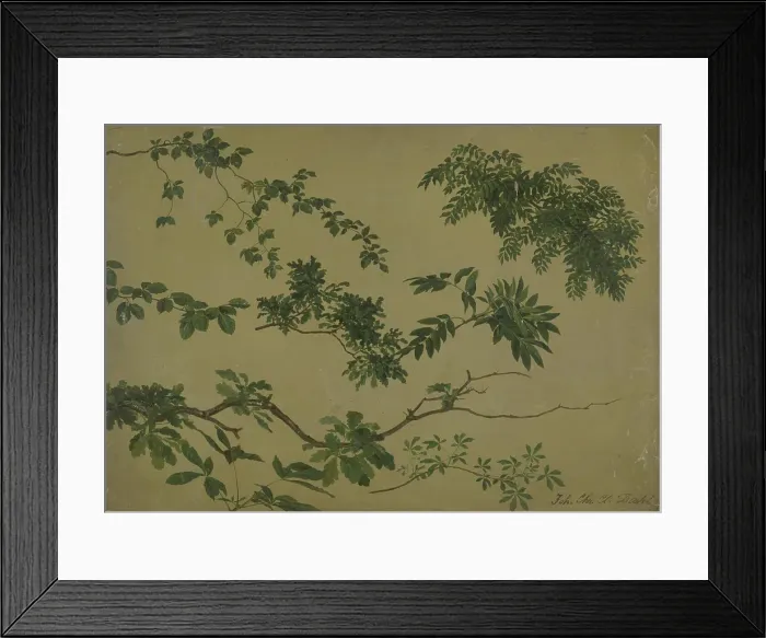 Framed Print : Study of Twigs and Leaves, 1812-1818. Creator: Johan Christian Dahl Framed Print : Study of Twigs and Leaves, 1812-1818. Creator: Johan Christian Dahl