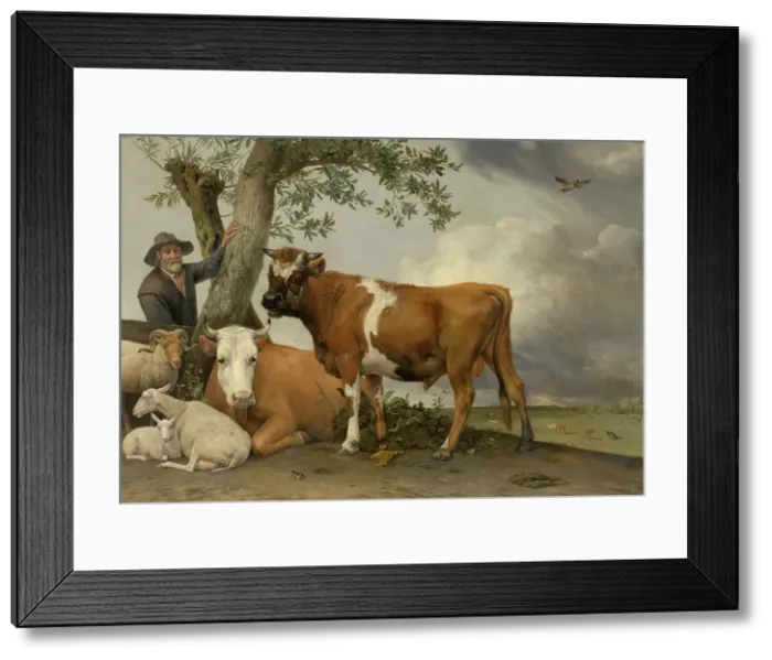 Framed Print : The Bull. Creator: Paulus Potter Framed Print : The Bull. Creator: Paulus Potter
