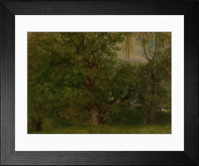 Framed Print : Wood near Ulefoss, 1848. Creator: Herman August Cappelen Framed Print : Wood near Ulefoss, 1848. Creator: Herman August Cappelen