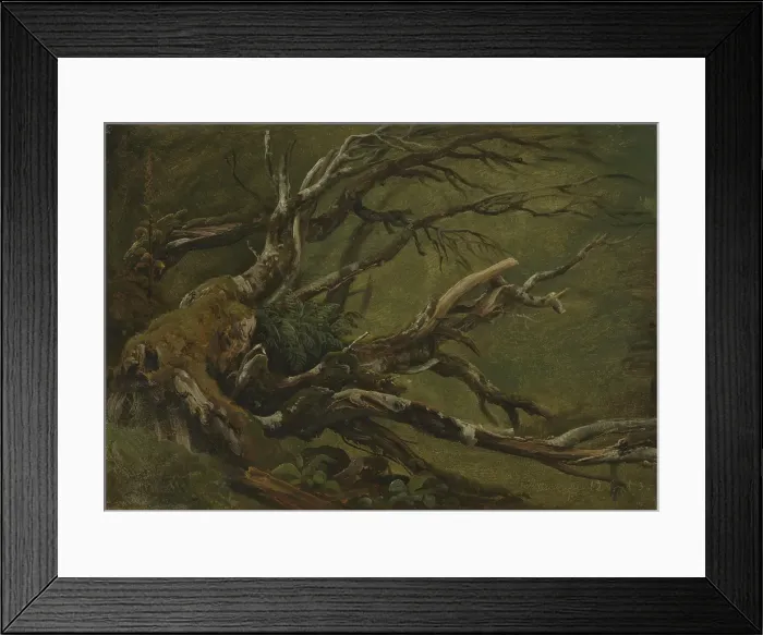 Framed Print : Study of decaying Tree, 1837. Creator: Thomas Fearnley Framed Print : Study of decaying Tree, 1837. Creator: Thomas Fearnley