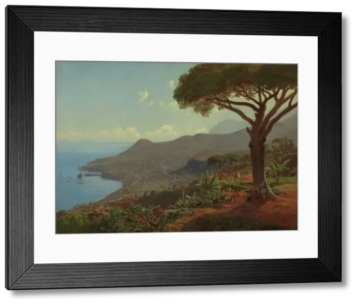 Framed Print : View of Funchal on Madeira, 1853. Creator: J. F. Eckersberg Framed Print : View of Funchal on Madeira, 1853. Creator: J. F. Eckersberg
