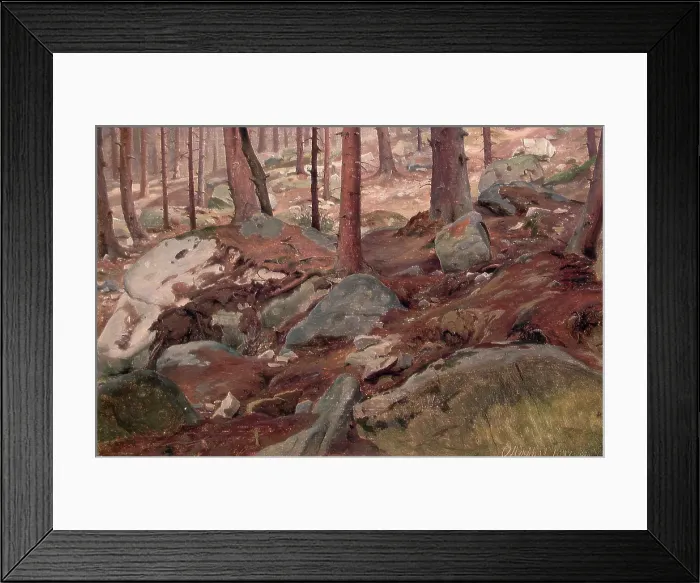 Framed Print : Study of a Forest Floor, 1847. Creator: J. F. Eckersberg Framed Print : Study of a Forest Floor, 1847. Creator: J. F. Eckersberg