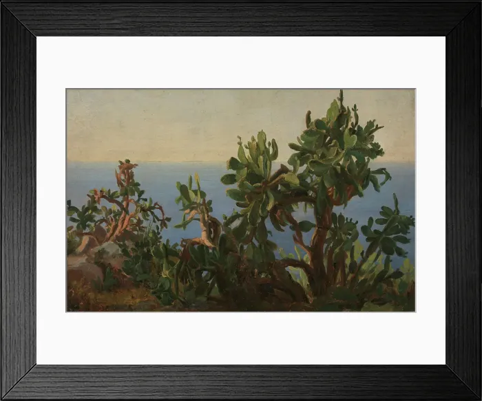 Framed Print : Cactus, probably 1833-1835. Creator: Thomas Fearnley Framed Print : Cactus, probably 1833-1835. Creator: Thomas Fearnley